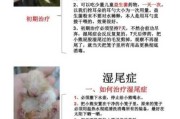 仓鼠腹泻是什么原因引起的（仓鼠腹泻症状怎么治）