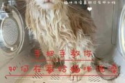 让猫猫快快乐乐洗澡的文案（给猫咪洗澡怎么发朋友圈）