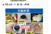 犬瘟热的后遗症有哪些症状（犬瘟热中后期症状区分）