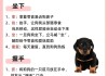 柴犬怎么训练,有什么方法?（柴犬训练18个东西图解教程）