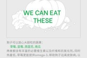 这些食物足以让狗狗致死英文（让狗致命的食物）