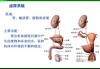 泌尿系统小讲课（讲泌尿系统的教案）