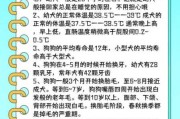 搞不清狗狗的生理阶段是什么（解决狗狗的生理）