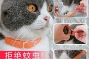 除跳蚤的猫项圈真的有用吗（除跳蚤项圈对小猫有害吗）