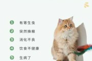 什么原因会导致猫咪软便（猫咪软便是什么原因引起的呢）