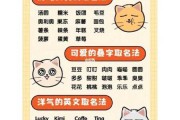 猫咪怎么能记住自己的名字（如何教猫咪记住自己的名字）