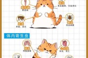 猫咪怎么驱虫（猫咪怎么驱虫最安全）