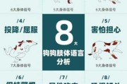 狗狗这4个行为是什么（狗狗100种行为语言）