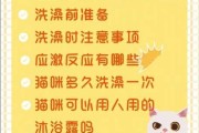 给猫咪洗澡的七个小技巧是什么（给猫洗澡应该怎么洗）