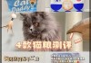 猫咪可以多久不吃猫粮（猫能几天不吃猫粮）