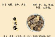 筒子肉的功效与作用（筒子肉的功效与作用禁忌）