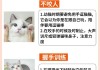 小猫很调皮怎么训练（小猫很调皮怎么训练好）