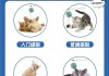 逗猫棒的使用方法（逗猫棒的作用）