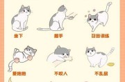 怎么训练猫咪打滚视频（怎么训练猫咪打滚视频讲解）