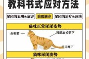 怎么样训练猫咪才能不乱尿（如何训练猫不到处尿）