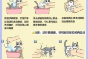 帮猫咪洗澡十一步骤及注意事项（给猫咪洗澡有什么好办法）