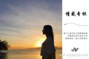 感情淡了如何挽回婚姻（感情淡了怎么办知乎）