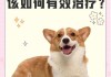 什么叫犬窝咳大概几天能好（犬窝咳百度百科）