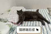 猫会像人一样患上哮喘病吗（猫会不会有哮喘病）