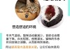 猫咪七个月食欲下降（七个月猫咪吃得多不长身体）