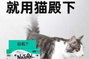 猫砂除臭效果（猫砂除臭效果好的品牌）