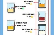 狗狗尿液颜色对照表（狗狗尿黄吃什么药比较好）