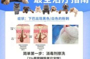 猫长粉瘤怎么办（猫粉刺怎么清理）