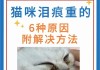 猫咪泪痕怎么处理（猫咪泪痕怎么处理?）