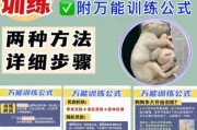 教狗狗装死视频（教狗狗装死简易方法）