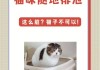 猫随地大小便是什么病（猫总随地大小便 竟然是因为这个!）