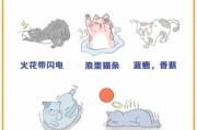 养猫有危险吗?需注意哪些事项?（养猫的危险性）