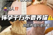 孕妇怀孕期间养猫合不合适（怀孕期间养猫对胎儿有影响吗）