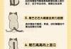 为什么别人的猫会说话（为什么别人的猫那么听话）