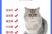 波斯猫的生活特征（波斯猫的生活特征介绍）