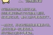 如何训练圣伯纳犬学会拉屎（如何训练圣伯纳犬学会拉屎拉尿视频）