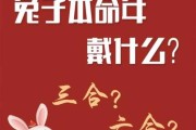 鼠兔年运势2023运势详解（鼠兔年运势2023运势详解大全）