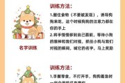 怎么训练狗狗听话呢视频（怎样训狗狗听话十天学会18种）