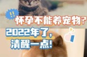 养宠物猫的坏处（养宠物猫的坏处有哪些）