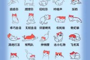 猫咪怎么让毛发好看蓬松（怎样让猫咪的毛发亮柔软）