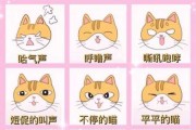 猫猫不同叫声（猫叫不同声音的含义）