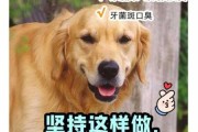 狗狗口臭流口水怎么了?（狗狗口臭流口水怎么了回事）