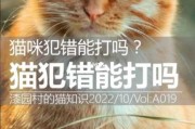 猫犯错了怎么办（猫犯错了该怎么办）