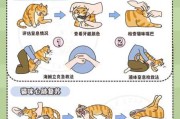 猫自我保护的方法（猫的自我保护意识）