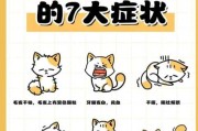 猫咪有寄生虫怎么治（猫有寄生虫子）