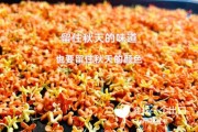 新鲜桂花怎么储藏（新鲜桂花怎么保存香味不散）