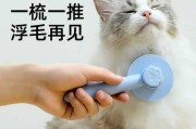 清理猫毛神器（清理猫毛的刷子）