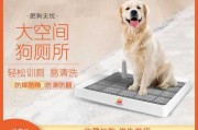 金毛犬怎么训练大小便视频（金毛狗狗如何训练大小便）