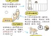 小柴犬怎么训练定点大小便（小柴犬应该怎么训练）