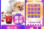 猫咪拉稀而且很臭怎么办（猫咪拉稀而且很臭怎么办吃什么药）