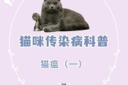 猫瘟由什么引起的（猫瘟产生的原因）